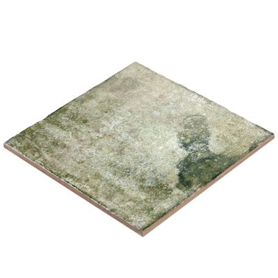 ANGELA HARRIS DUNMORE GREEN 8X8 Ceramic Wall Tile - DM Cape Tile