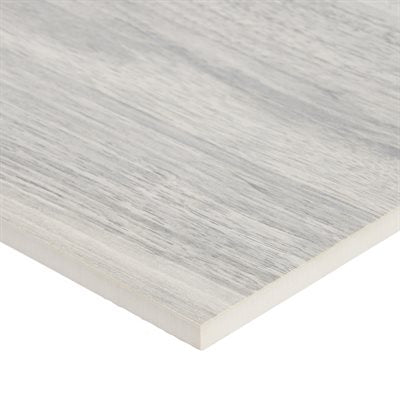 BRAZILIAN COYOTE GRAY POLISHED 8X48