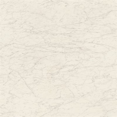 MARMI D'ITALIA BIANCO GIOIA 6X6 MATTE Tile Size: 6" x 6"
