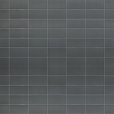 PALISA ASH 4X8 CRACKLE | DM Cape Tile
