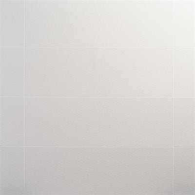 ACCENT BASALT BIANCO 12X36 | DM Cape Tile