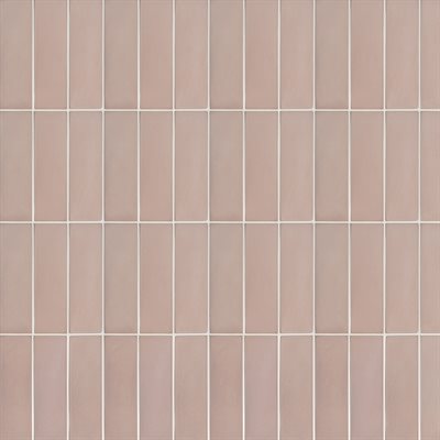COLORHUES CEMENT CORAL 2X8