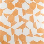 ARIES 2.0 DIVIDE ORANGE 8" HEX