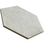 ELEMENTARY ARGENT