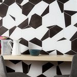 ARIES 2.0 DIVIDE NERO 8" HEX | DM Cape Tile