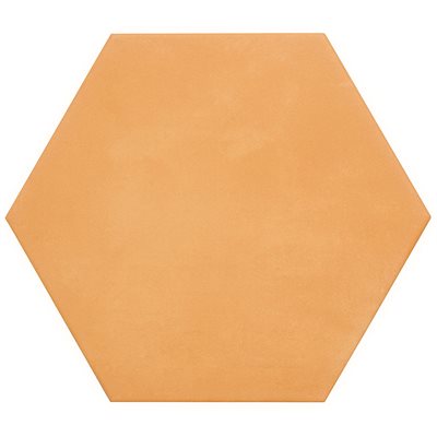 ARIES 2.0 ORANGE 8" HEX | DM Cape Tile