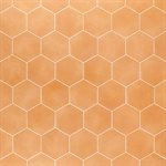 ARIES 2.0 ORANGE 8" HEX | DM Cape Tile