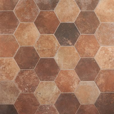 POMPEIA MARRON 8" HEX | DM Cape Tile