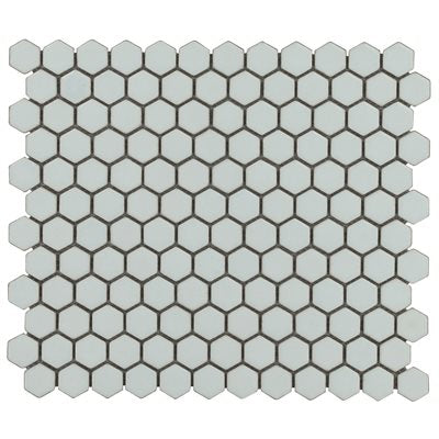 SIMPLE 2.0 RIMMED SAGE 1" HEXAGON