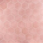 ARIES 2.0 ROSE 8" HEX