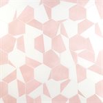 ARIES 2.0 DIVIDE ROSE 8" HEX