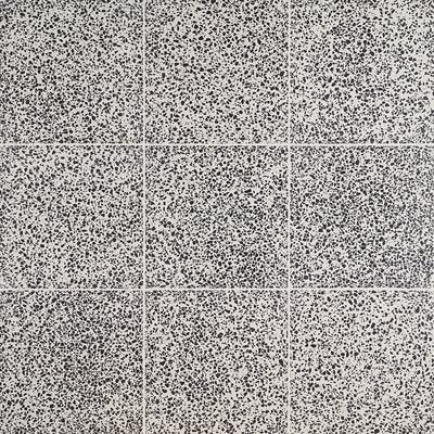 MARMI TERRAZZO TINOS 16X16 POLISHED