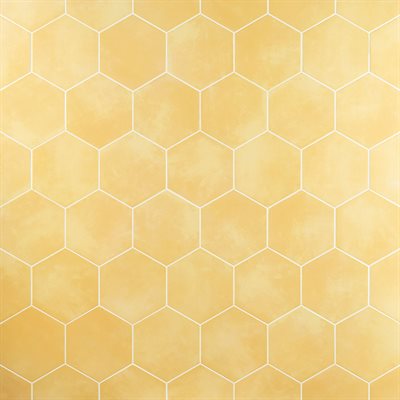 ARIES 2.0 YELLOW 8" HEX | DM Cape Tile