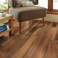 Endura Plus Hardwood Tiles For Floors