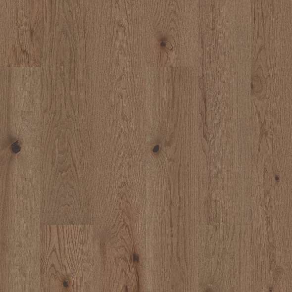 Exploration Oak Wood Look Tiles By DM Cape Tile