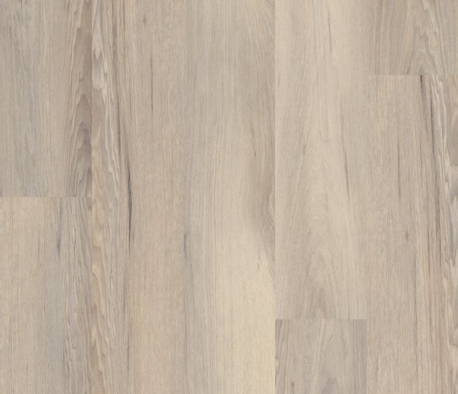 Venture Chestnut