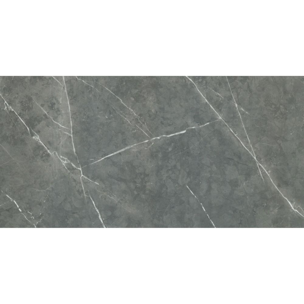 Altamura 24"x48" Silver Porcelain Polished Tile