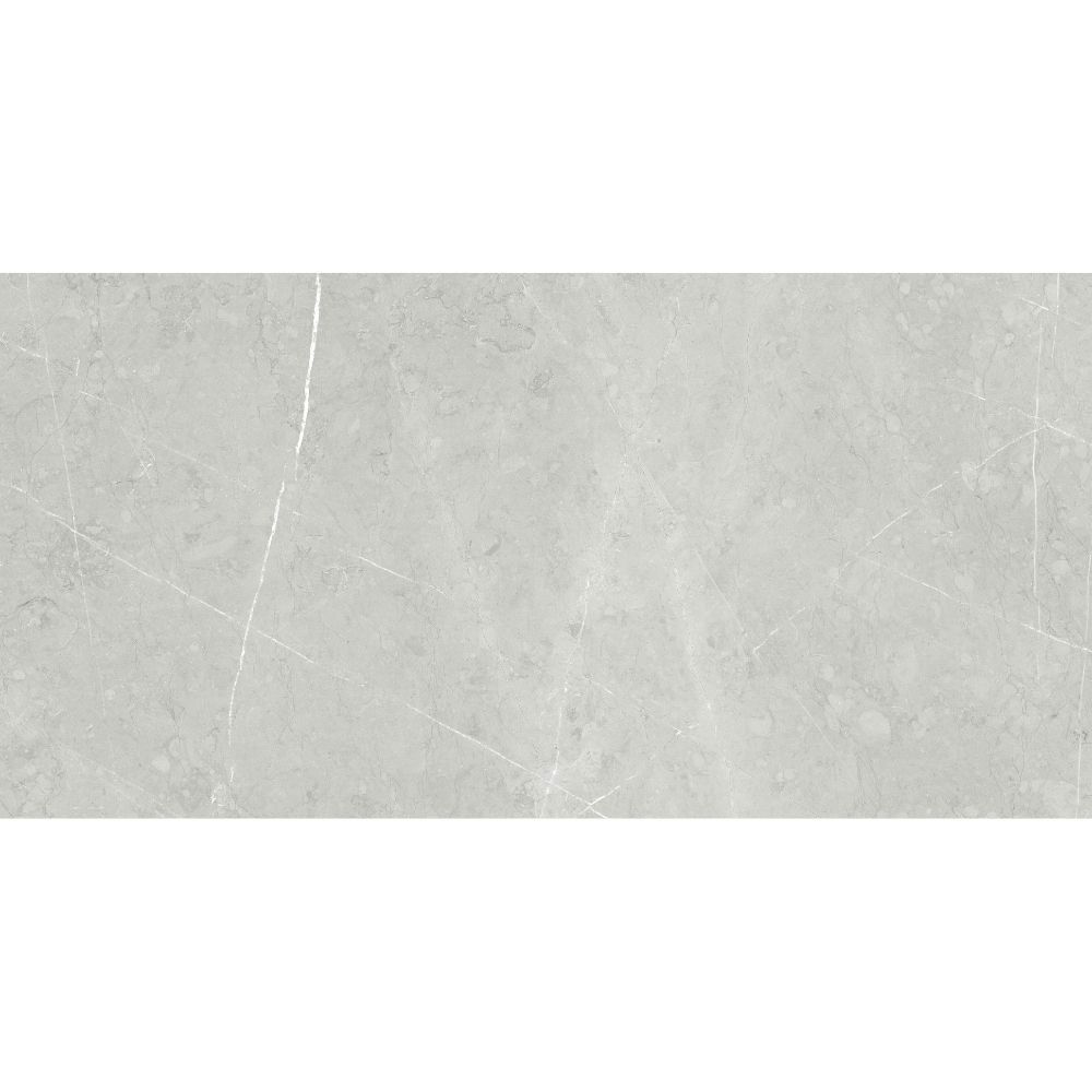 Altamura 24"x48" Silver Porcelain Polished Tile