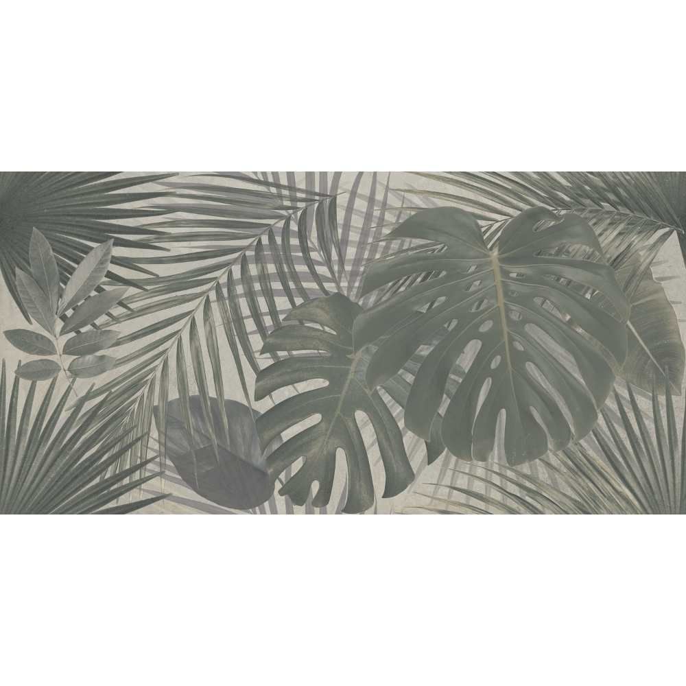 Fantasy 24"x48" Jungle Porcelain Matte & Glossy Tile