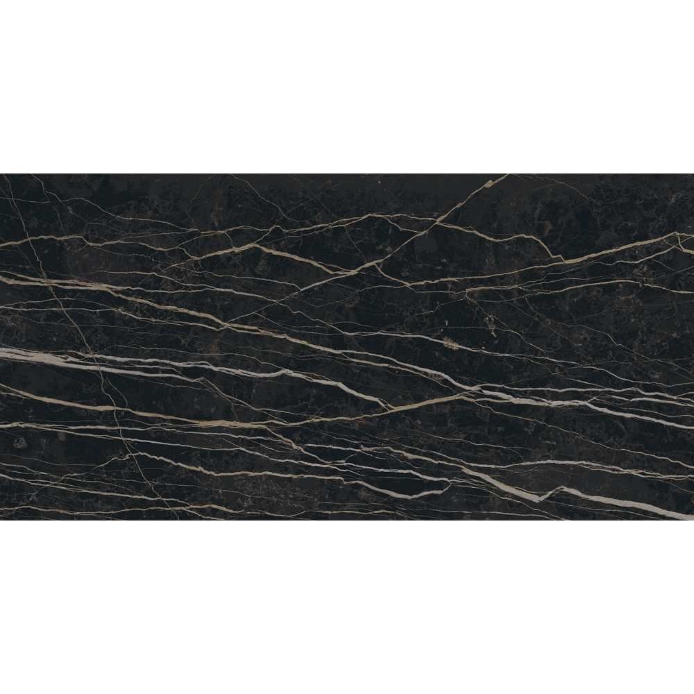 Prexious 24"x48" Thunder Night Porcelain Polished Tile